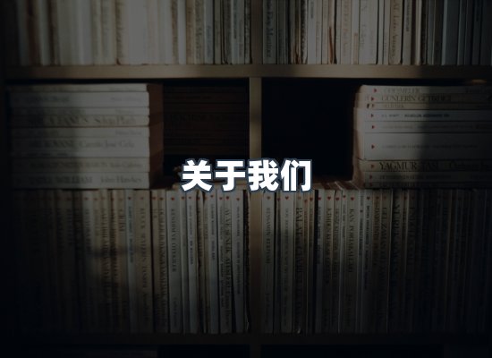 专业团队